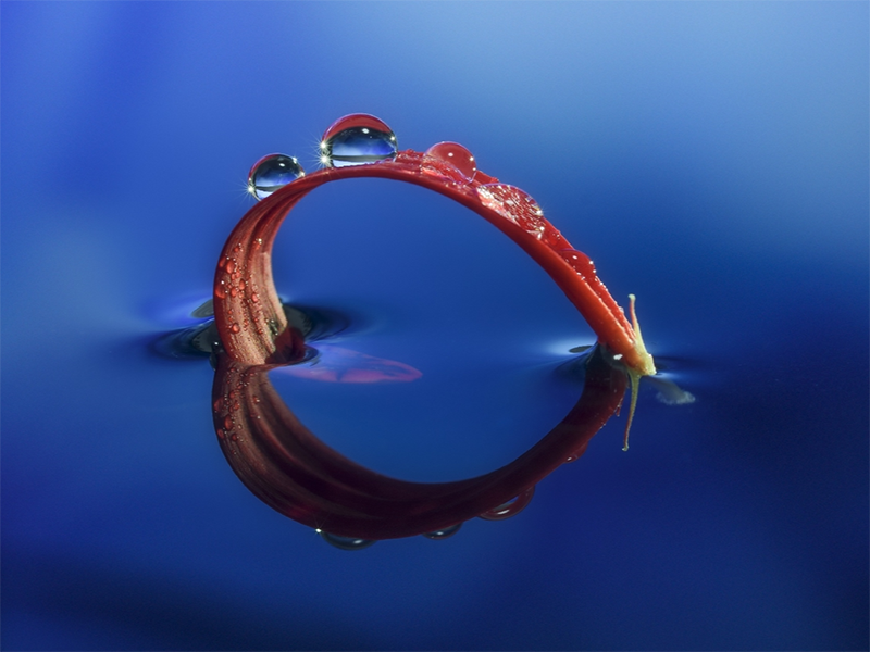 總氮檢測儀 總氮檢測儀