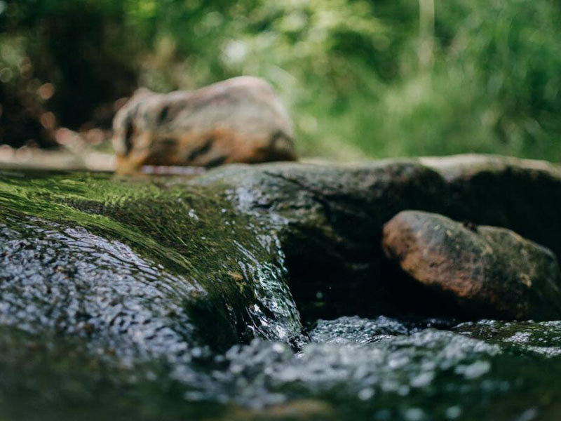 葉綠素對(duì)水質(zhì)有什么影響