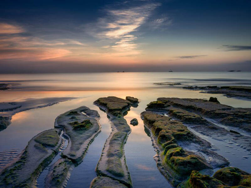 氨氮超標的危害有哪些(水質氨氮檢測的意義)