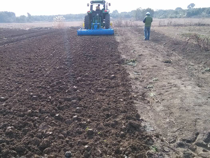 在土壤養(yǎng)分速測儀解決肥料濫用問題